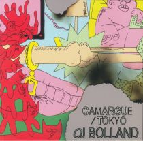 CJ Bolland - Camargue