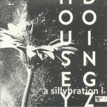 Housey Doingz -  A Sillybration I 